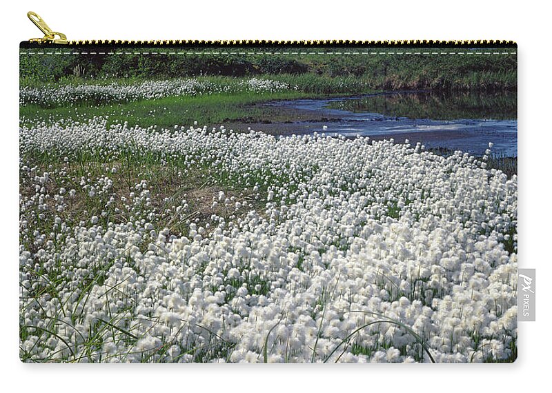 1m1370 Zip Pouch featuring the photograph 1M1370 Cottongrass Tundra and Mt. McKinley by Ed Cooper Photography