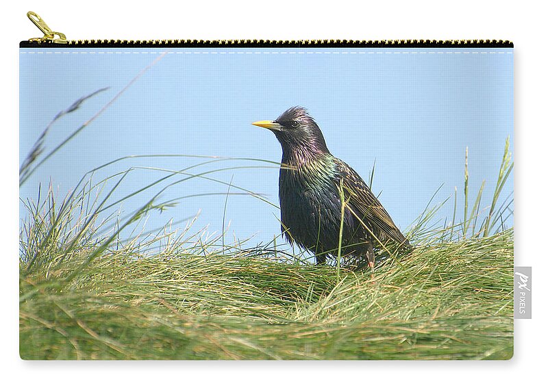 European Starling Zip Pouch featuring the photograph A Place In The Sun #2 by Fraida Gutovich