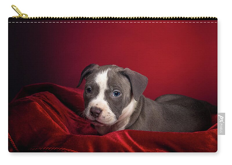 Adorable Carry-all Pouch featuring the photograph American Pitbull Puppy by Peter Lakomy
