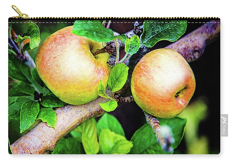Apple Zip Pouch featuring the photograph 2 Apples by Camille Lopez