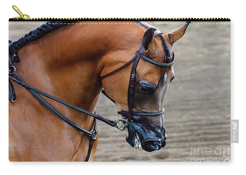 Horse Zip Pouch featuring the photograph Arabian Show Horse #2 by Ben Graham