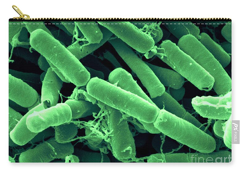 Bacillus Thuringiensis Bacteria #2 Zip Pouch