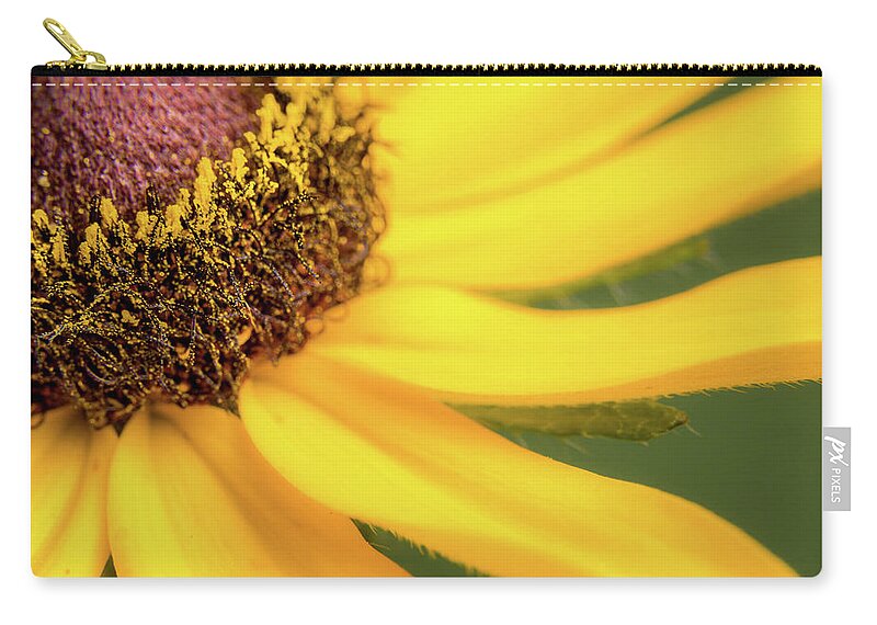 Black Eyed Susan Zip Pouch featuring the photograph Black-Eyed Susan #2 by Ron Pate