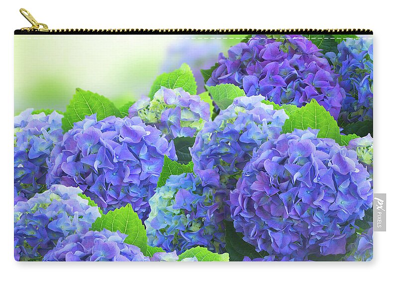 Hortensia Zip Pouch featuring the photograph Blue Hortensia Flowers #3 by Anastasy Yarmolovich