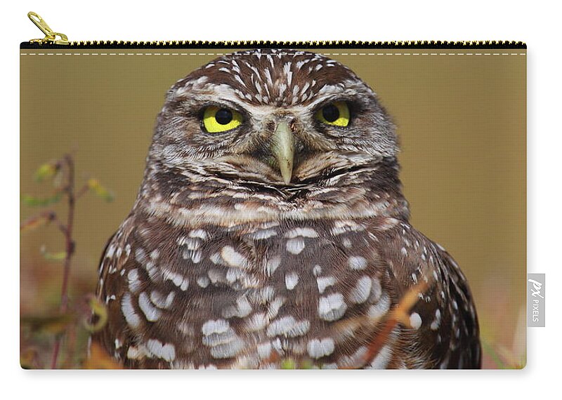 Owl Zip Pouch featuring the photograph Burrowing Owl #3 by Bruce J Robinson
