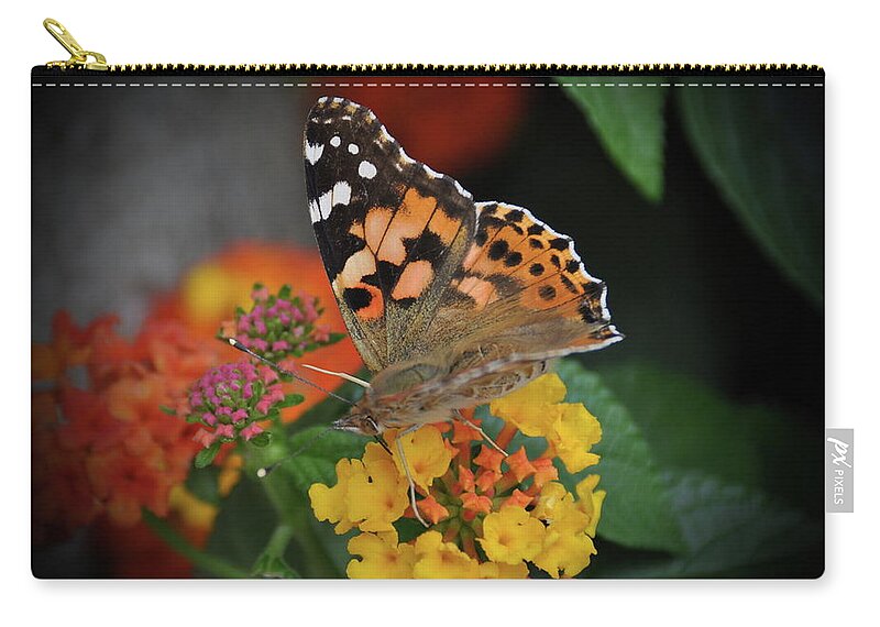 Butterfly Zip Pouch featuring the photograph Butterfly #2 by Jackie Russo