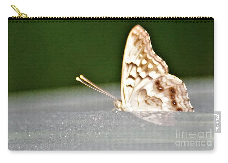 Butterflies Zip Pouch featuring the photograph Butterfly on my car5 by Merle Grenz