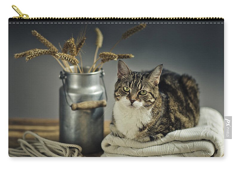Cat Zip Pouch featuring the photograph Cat Portrait #2 by Nailia Schwarz