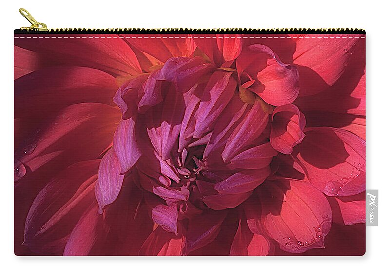 Flower Zip Pouch featuring the photograph Dahlia 'Wyn's King Salmon' #2 by Ann Jacobson