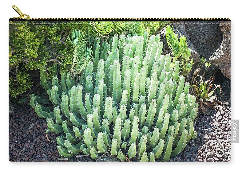 Cactus Zip Pouch featuring the photograph Desert Garden #2 by Catherine Lau