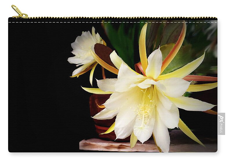Cactus Zip Pouch featuring the photograph Elegant Beauty by Joyce Dickens