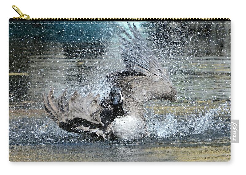 Canada Goose Zip Pouch featuring the photograph Splash Pad by Fraida Gutovich