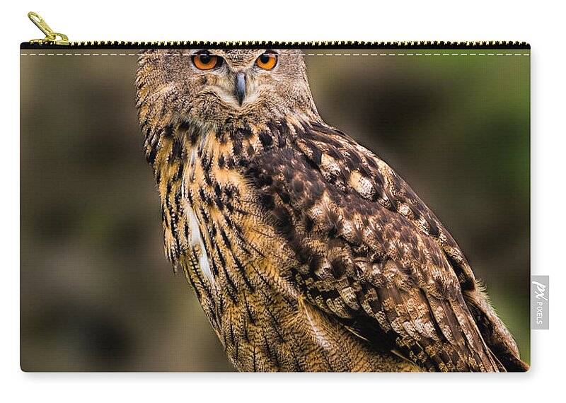 Birds Zip Pouch featuring the photograph Eurasian Eagle Owl perched on a post by Les Palenik
