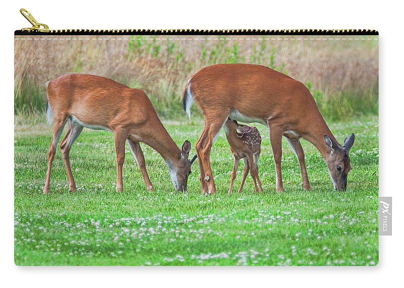 Deer Zip Pouch featuring the photograph Family Outing #2 by Cathy Kovarik