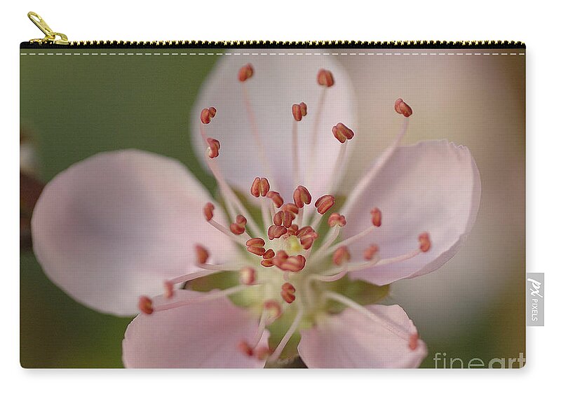 Flower Zip Pouch featuring the photograph Flower #2 by Marc Bittan