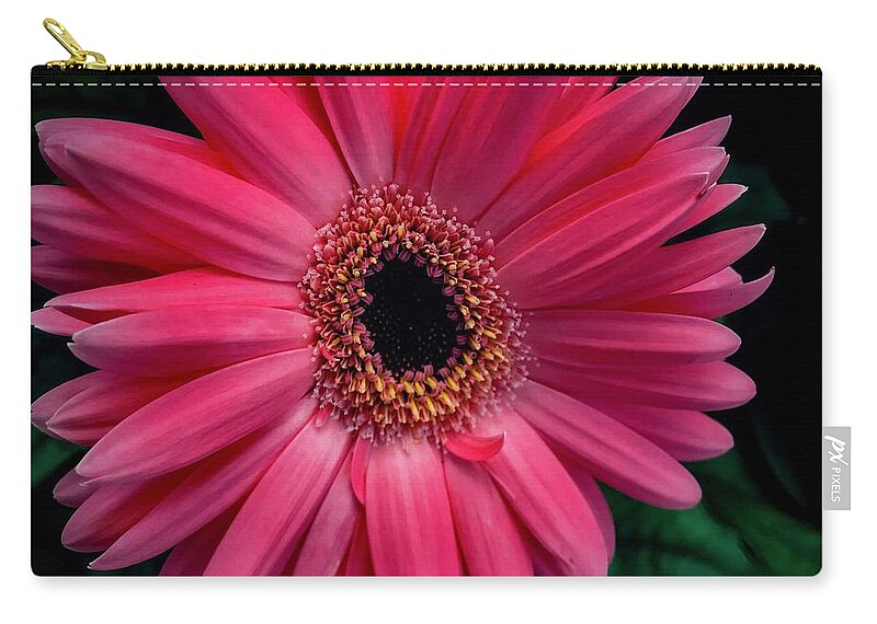 Flower Zip Pouch featuring the photograph Gerbera Daisy #2 by William Norton