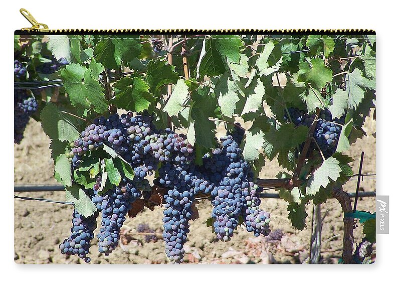 Grapevine Zip Pouch featuring the photograph Grapevine #1 by Pamela Walrath