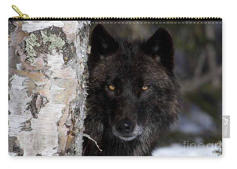Gray Wolf Carry-all Pouch featuring the photograph Gray Wolf by Jean-Louis Klein and Marie-Luce Hubert