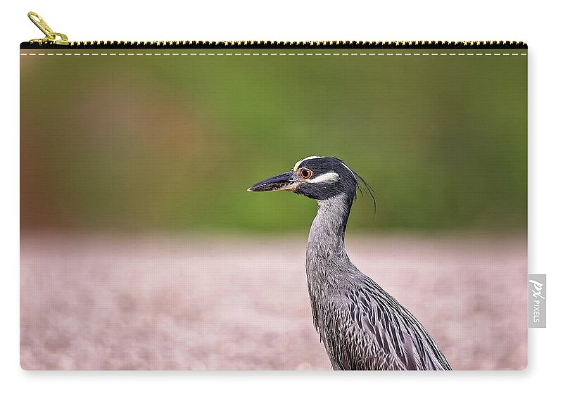 Animal Carry-all Pouch featuring the photograph Green Heron by Peter Lakomy