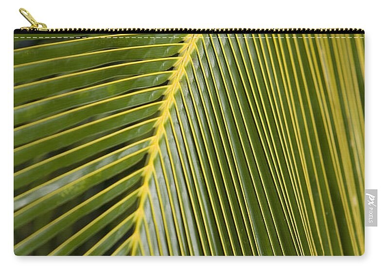 Angle Zip Pouch featuring the photograph Green Palm Leaf #2 by Ron Dahlquist - Printscapes