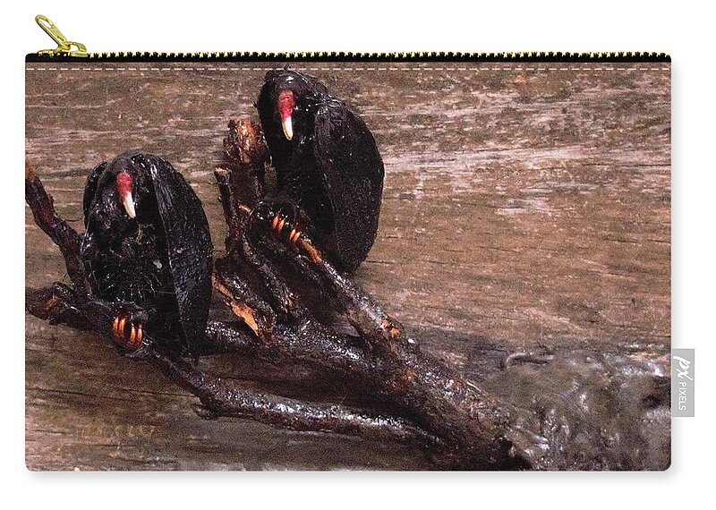 3d Carry-all Pouch featuring the mixed media 2 Hulking Vultures by Roger Swezey