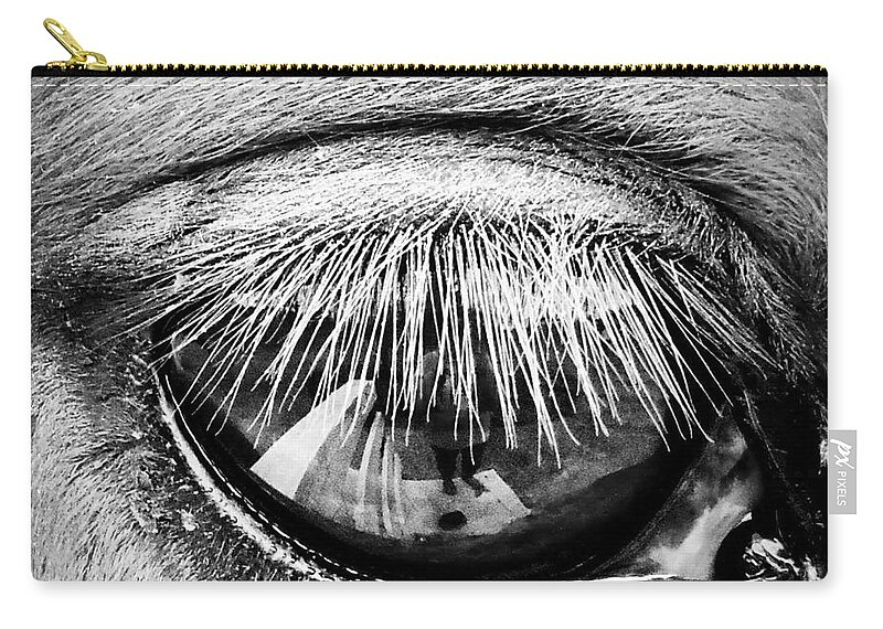 Equine Zip Pouch featuring the photograph Just a Reflection by Rabiah Seminole