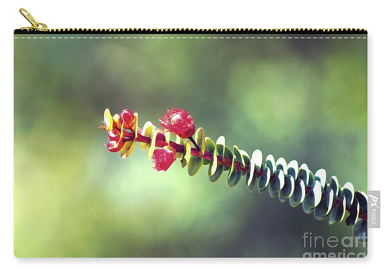 Flower Zip Pouch featuring the photograph Kings Park VI #2 by Cassandra Buckley