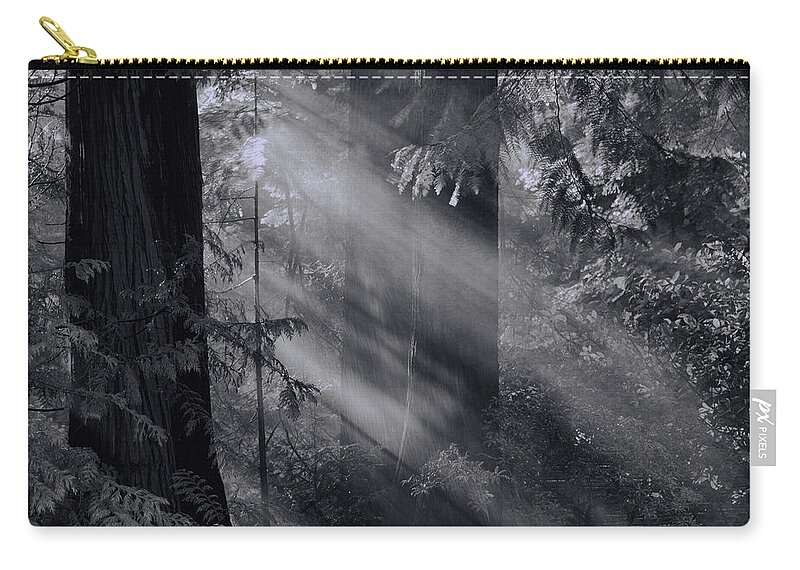  Zip Pouch featuring the photograph Let There Be Light #2 by Don Schwartz