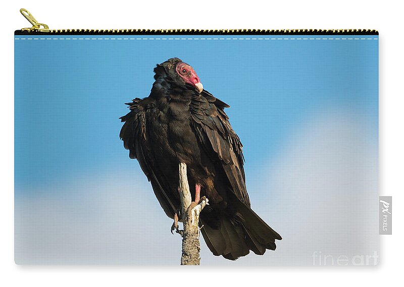 Vulture Zip Pouch featuring the photograph Looking for a Meal #1 by Michael Dawson
