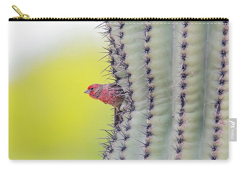 House Zip Pouch featuring the photograph Male House Finch #2 by Tam Ryan
