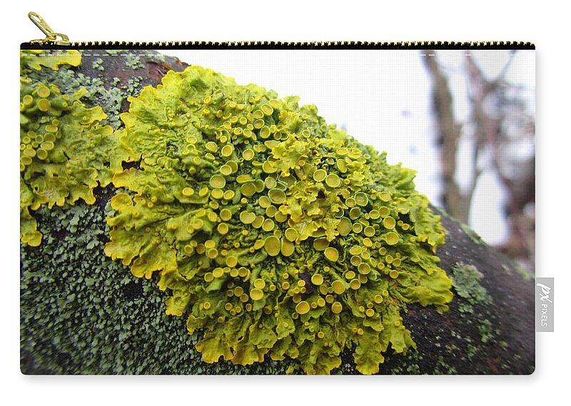 Moss Zip Pouch featuring the photograph Moss #2 by Mariel Mcmeeking