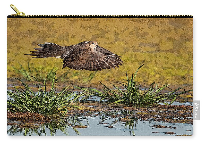 Mourning Dove Zip Pouch featuring the photograph Mourning Dove in Flight #2 by Tam Ryan
