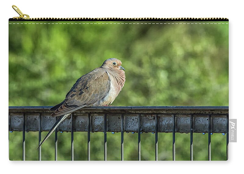 Mourning Zip Pouch featuring the photograph Mourning Dove #2 by Tam Ryan