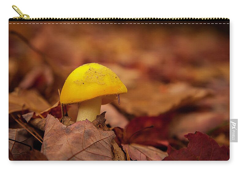 Fall Zip Pouch featuring the photograph Mushroom #2 by Benjamin Dahl