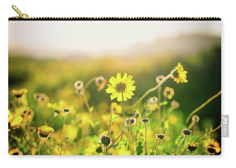 Flower Zip Pouch featuring the photograph Nature's Bright Smile by Joseph S Giacalone