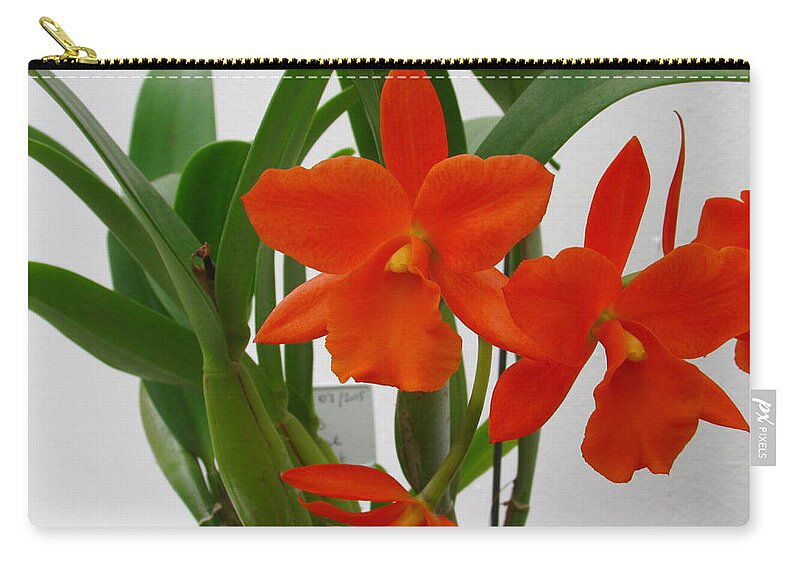 Orchid Zip Pouch featuring the photograph Orchid Flower #2 by Cesar Vieira