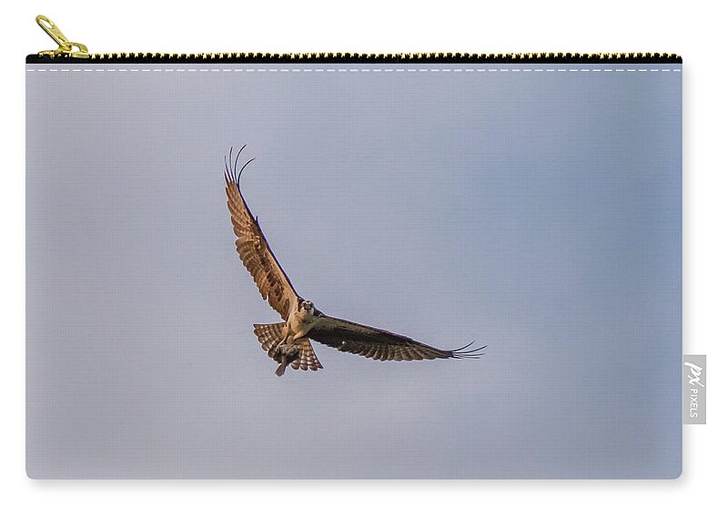 New Jersey Zip Pouch featuring the photograph Osprey in flight #2 by SAURAVphoto Online Store