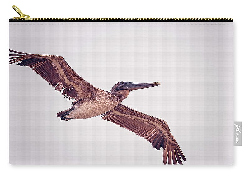 Aqua Carry-all Pouch featuring the photograph Pelican by Peter Lakomy