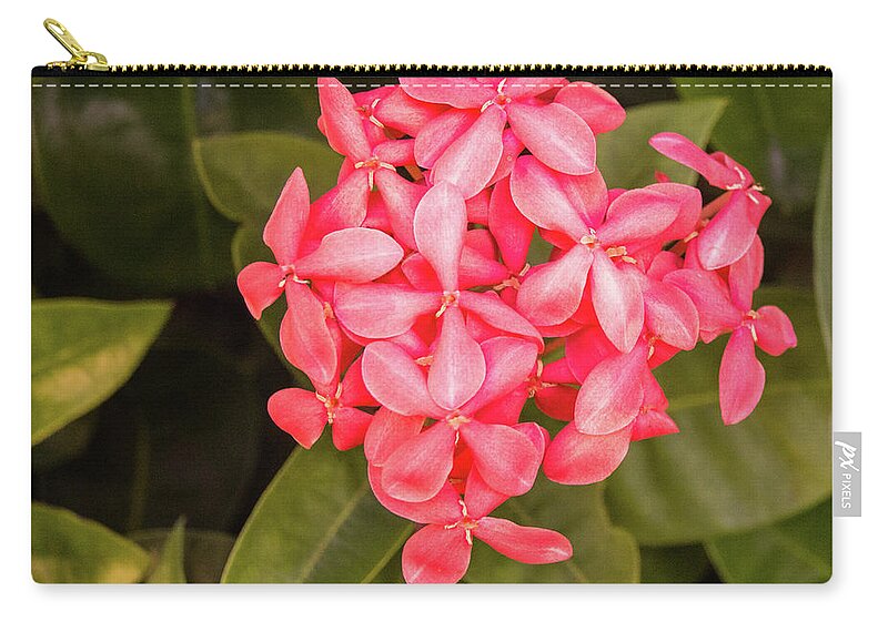  Zip Pouch featuring the photograph Pink Flower #3 by James Gay