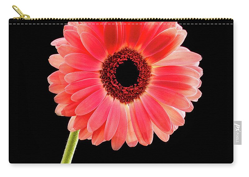 Jean Noren Zip Pouch featuring the photograph Pretty in Pink #2 by Jean Noren
