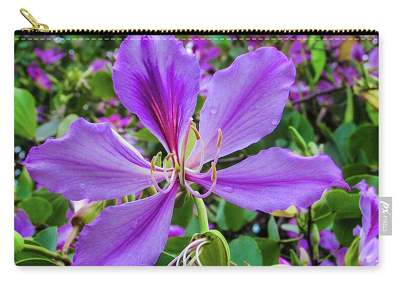 Flower Zip Pouch featuring the photograph Purple Flowers #2 by Cesar Vieira