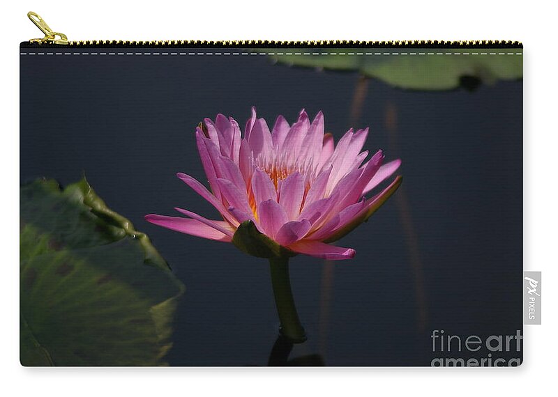 Purple Zip Pouch featuring the photograph Purple Lotus Waterlily #2 by Jackie Irwin