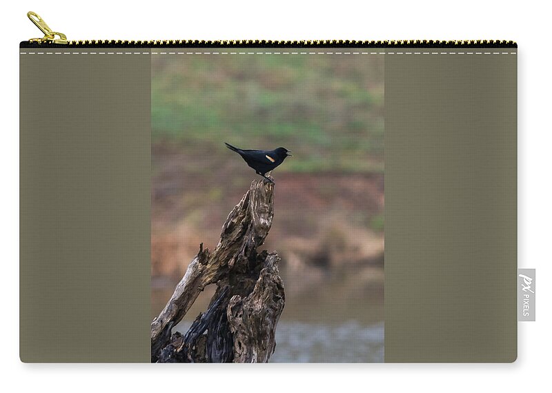 Jan Zip Pouch featuring the photograph Red-Winged Blackbird by Holden The Moment