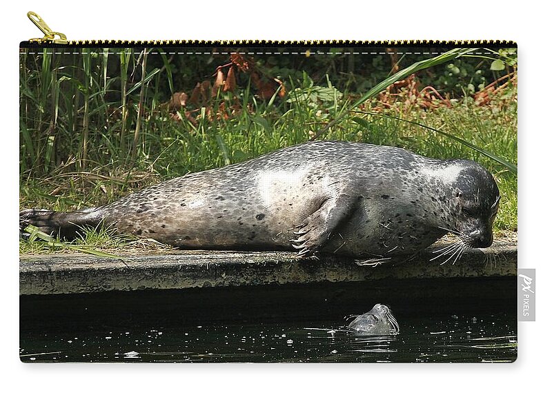 Seal Zip Pouch featuring the photograph Seal #2 by Jackie Russo
