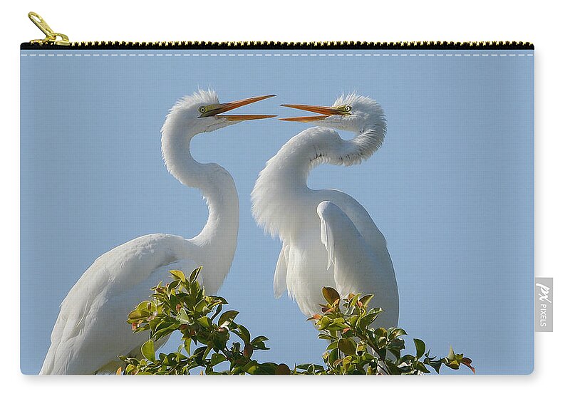 Great Egrets Zip Pouch featuring the photograph Siblings #2 by Fraida Gutovich