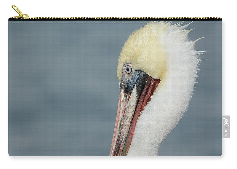 California Brown Pelican Zip Pouch featuring the photograph Simplicity #2 by Fraida Gutovich