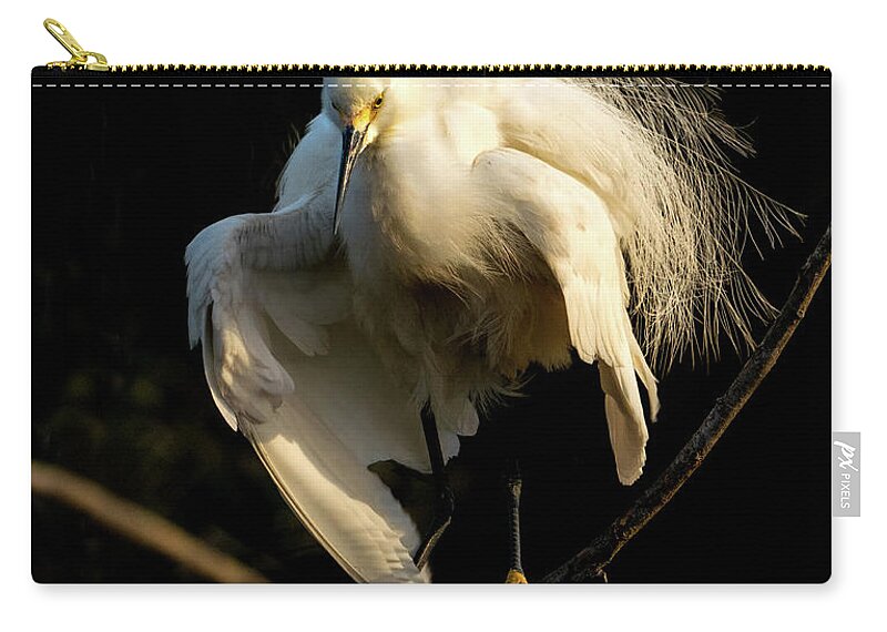 Snowy Egret Zip Pouch featuring the photograph Snowy Beauty #2 by Judi Dressler