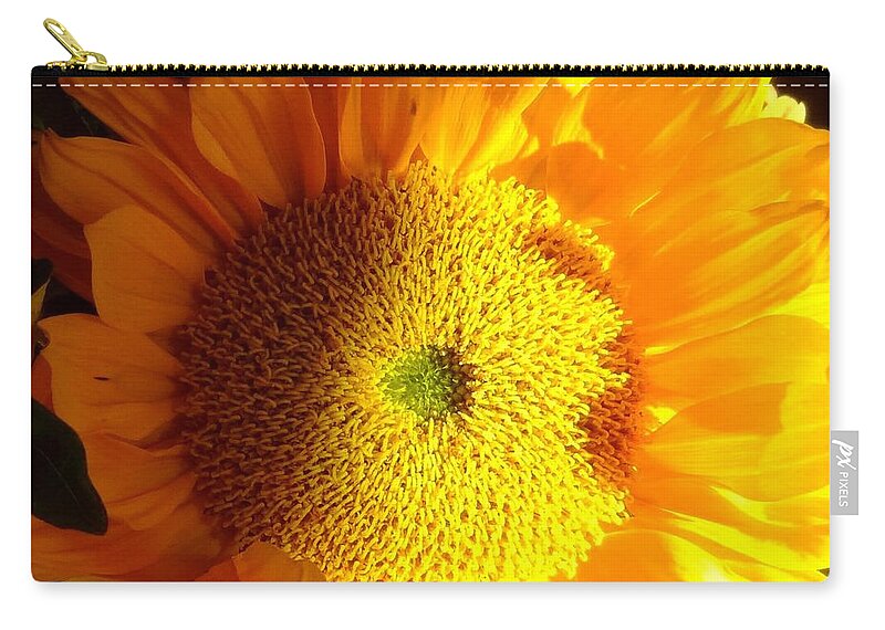 Sunflower Zip Pouch featuring the photograph Sunflower #2 by Donna Spadola