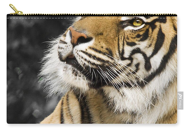 Animal Zip Pouch featuring the photograph Tiger #2 by Svetlana Sewell