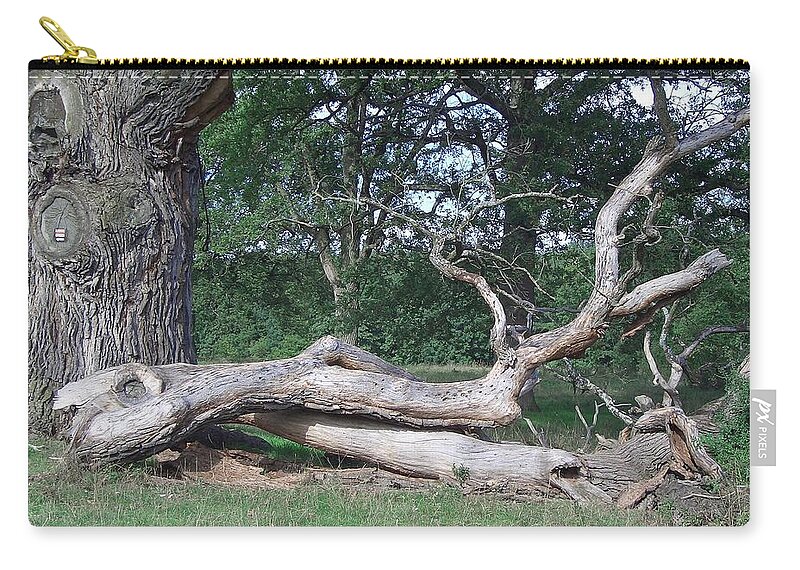 Tree Zip Pouch featuring the photograph Tree #2 by Jackie Russo